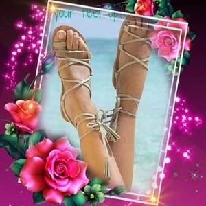 Meet your Posher, Barbara